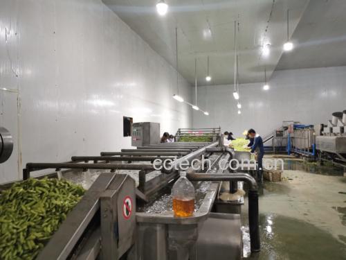 大豆压榨过程