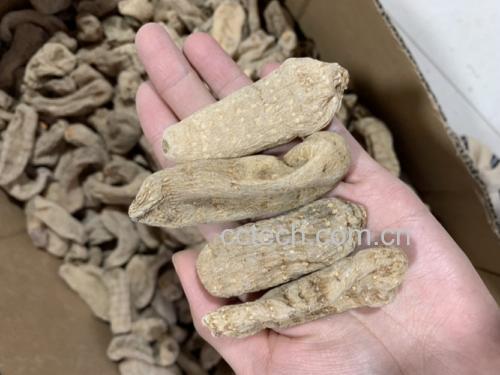 地龙药材与土壤中的蚯蚓对比图