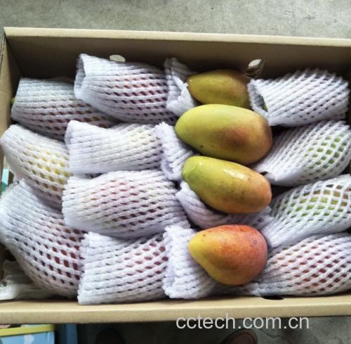 切开的芒果用保鲜膜包裹放入密封盒中