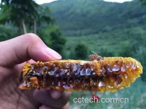 蜂蜜涂抹皮肤
