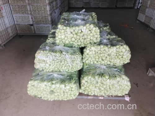 油菜蜂花粉产品展示图