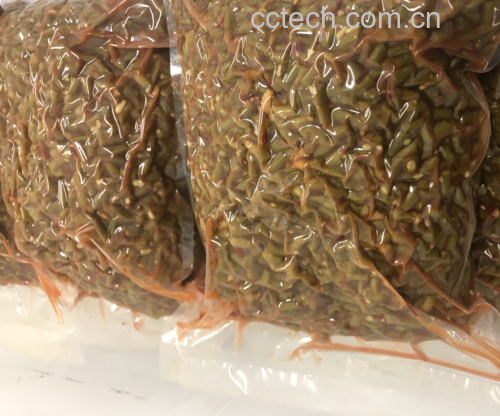 豆角腌制坛