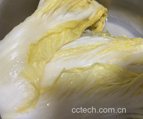 处理好的长杆白菜整齐摆放准备腌制