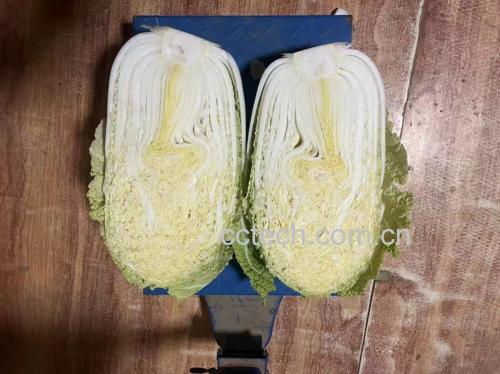 白菜在厨房中切开后露出嫩芯的近景图