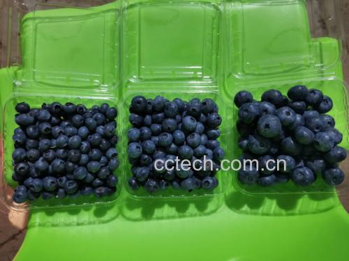 蓝莓冷冻后装入密封袋