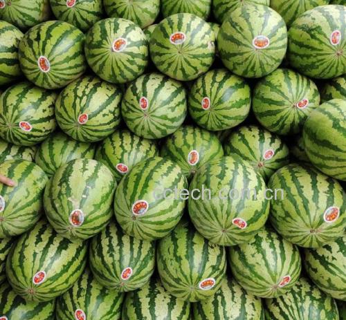 西瓜沙拉成品图