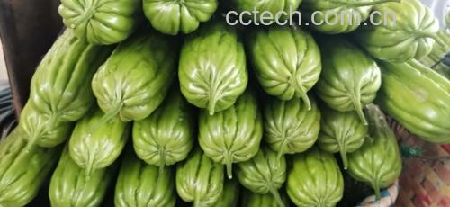 苦味散叶生菜在厨房中的使用场景