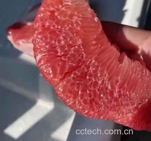 红心柚果肉剖面图