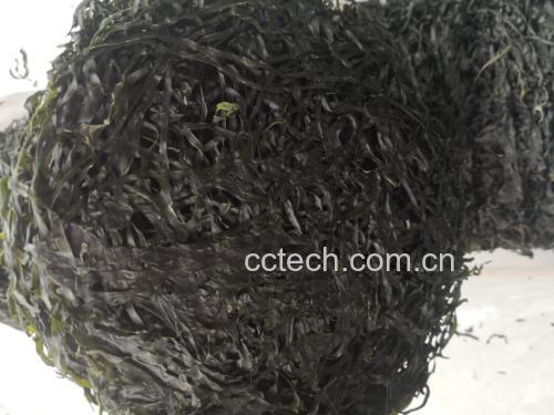 干海带用于制作凉拌海带丝