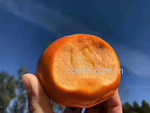 甜橙枳实与健康生活方式
