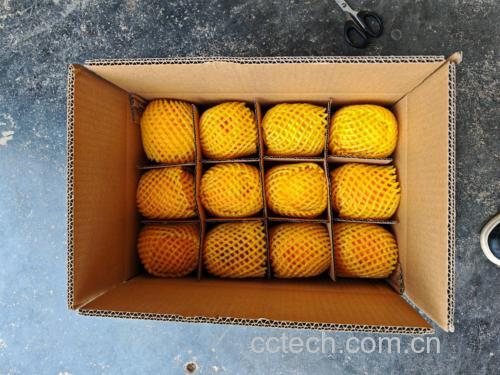 黄油桃储存与保鲜示意图