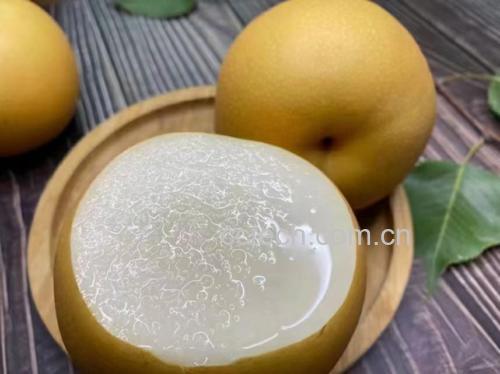 秋月梨与糖度计对比图