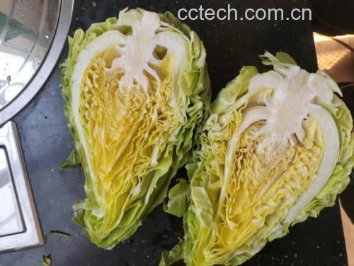牛心甘蓝菜切面细节图