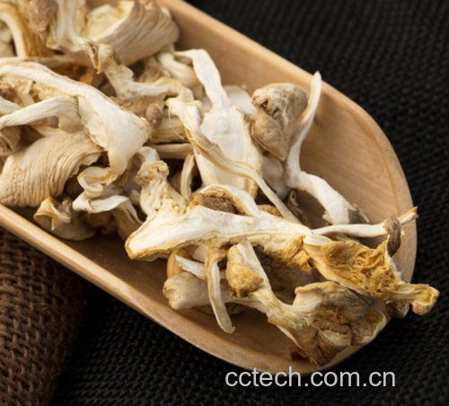 成品图:西兰花和平菇装盘效果
