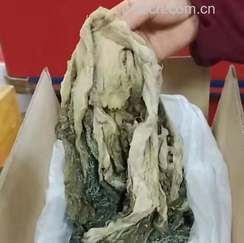 芝麻菜清洗与浸泡