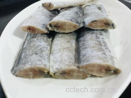 桥本可以吃带鱼吗