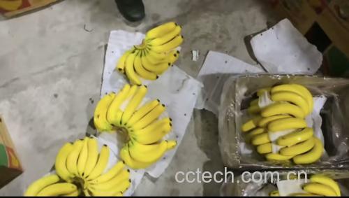 香蕉储存方法图