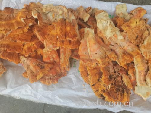 清蒸松茸成品图