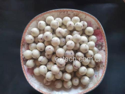 柿子熬冰糖熬煮过程