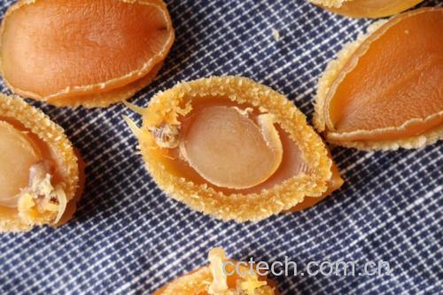 杏鲍菇与油麦菜食材准备