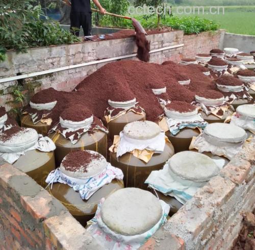 野柿子泡酒的原料与制作场景