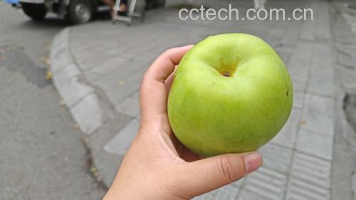 挑选新鲜鸭梨的过程