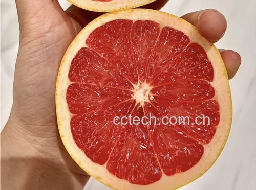 粉红胡椒葡萄柚沙拉成品图