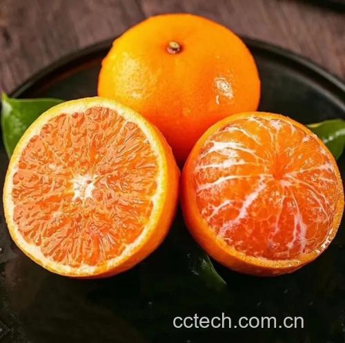 沃柑煮熟吃了有好处吗?营养与美味兼具的沃柑美食制作全攻略