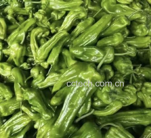 圆菜椒特写图片