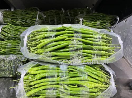 绿圆椒在农贸市场摊位上的陈列图