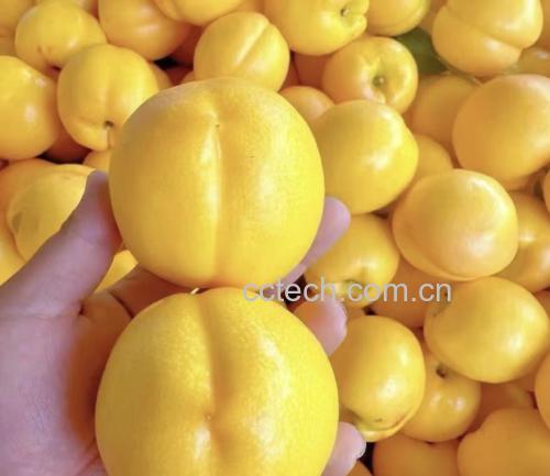 黄油桃水果沙拉