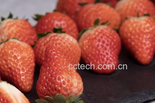 红颜草莓星冰乐成品展示图