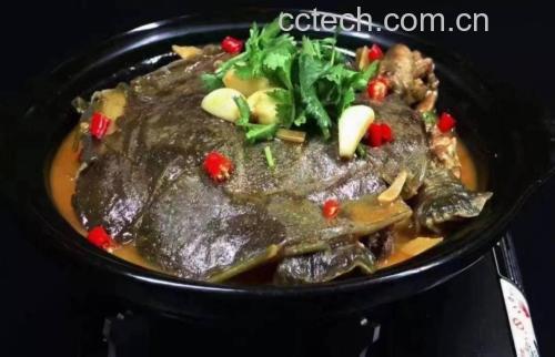 甲鱼炖煮过程图