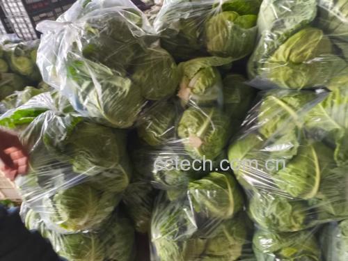 羽衣甘蓝在超市货架上的展示