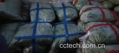 扁豆与薏仁实物图