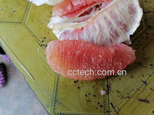 野生柚子果肉与蜂蜜一同熬制成果酱
