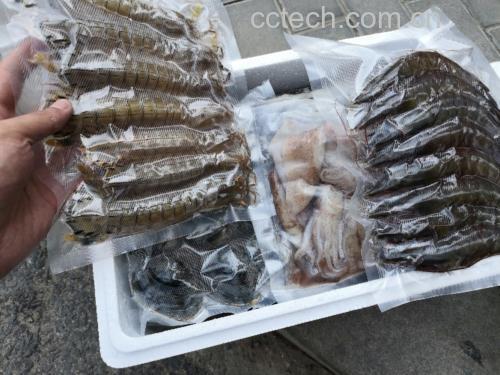 墨鱼与鱿鱼对比图