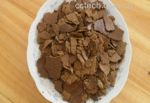 油菜籽显微结构