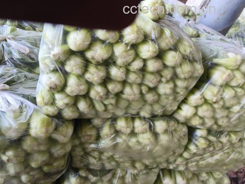 油菜与其他果蔬搭配榨汁