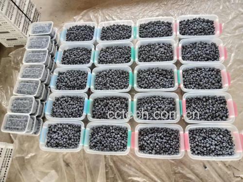 蓝莓储存与食用方式示意图