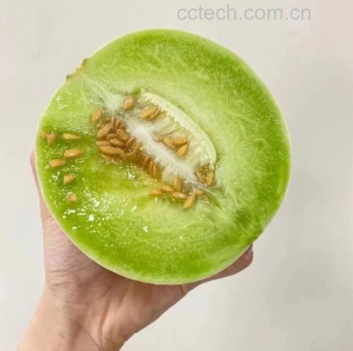 女性切开玉菇甜瓜食用场景
