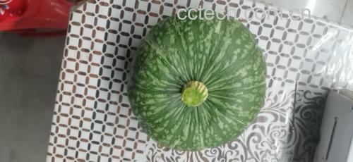 绿板栗南瓜烹饪图