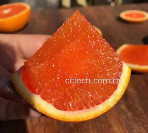处理甜橙果肉