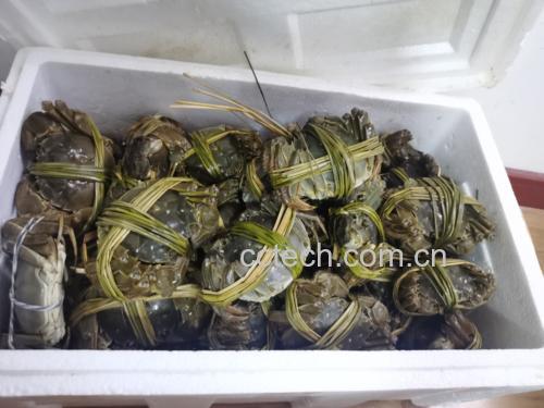 大闸蟹礼盒包装细节图