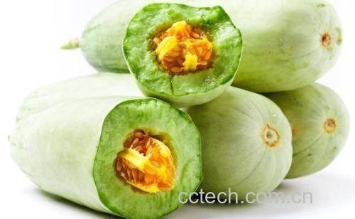 羊角蜜甜瓜不同品种对比图