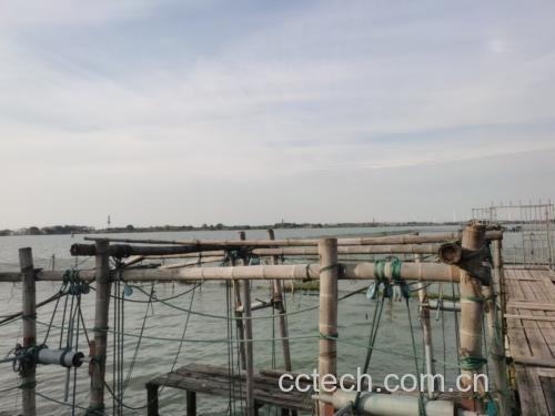 阳澄湖大闸蟹养殖基地