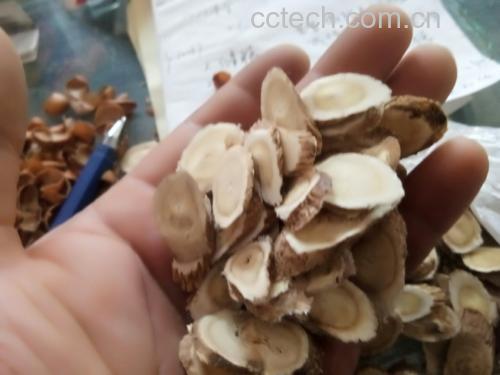 黄芩药材与黄芩颗粒成品展示