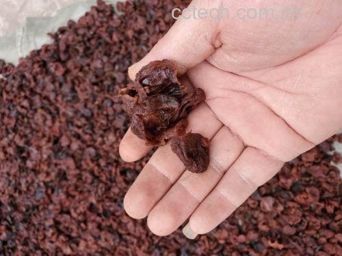 蒸制中的荔枝糖水图