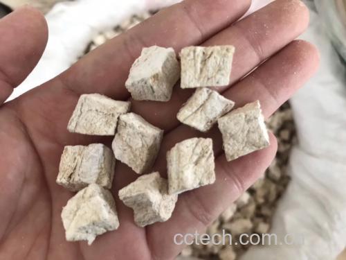 葛根灵芝片对心血管系统的保护机制图解