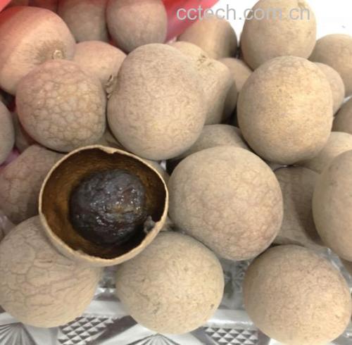 桂圆干果与新鲜龙眼对比图